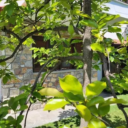 Apartment λουίζα Studio έως 2 άτομα *
