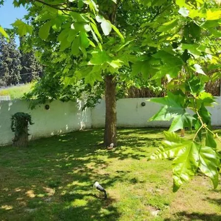 λουίζα Studio έως 2 άτομα * Paliouri